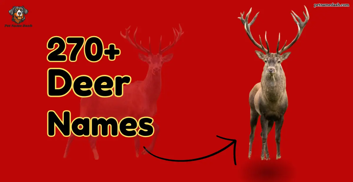270+ Cute & Catchy Deer Names (+ Name Generator) 2025