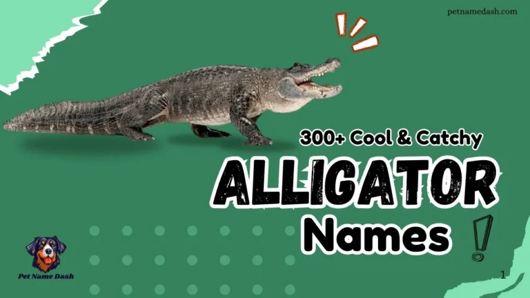300+ Cool & Catchy Alligator Names With Generator 2025