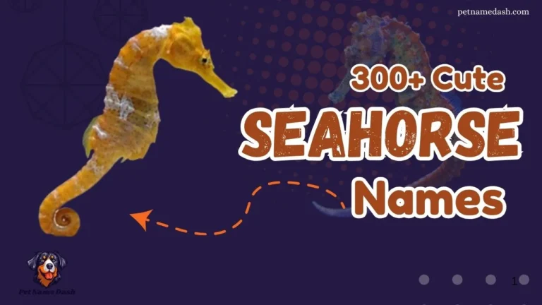 300+ Unique Seahorse Names & Generator With Meaning 2025