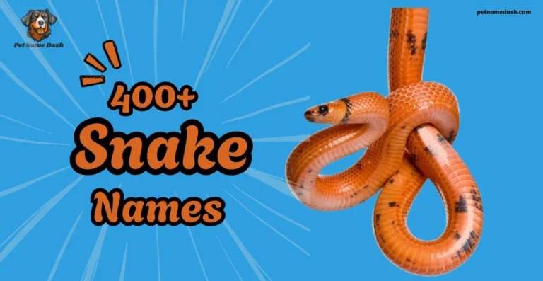 400+ Cute And Unique Snake Names