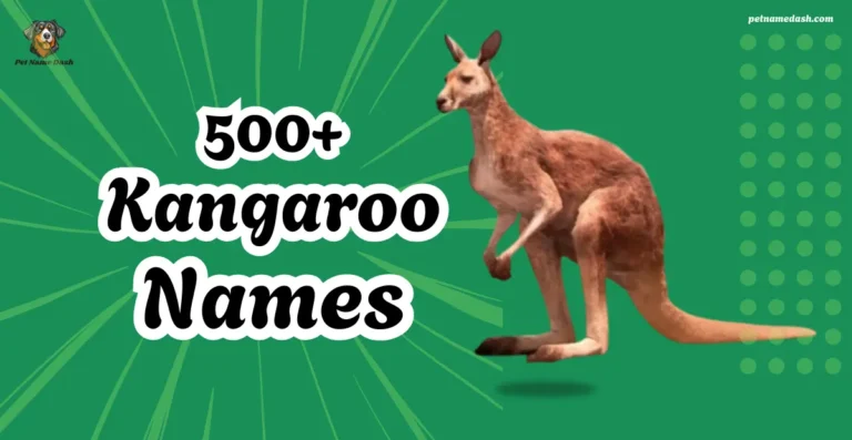 500+ top & Cute Kangaroo Names (+Generator) for Male & Female 2025
