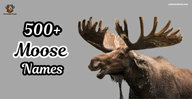 Best 500+ Catchy & Trendy Moose Names With Meaning and Generator in 2025