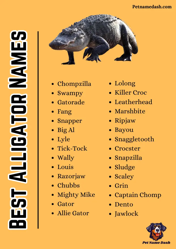 Best Alligator Names