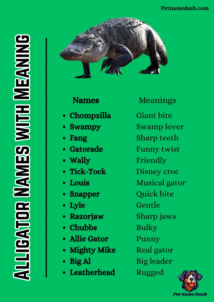 Best Alligator Names with Meaning