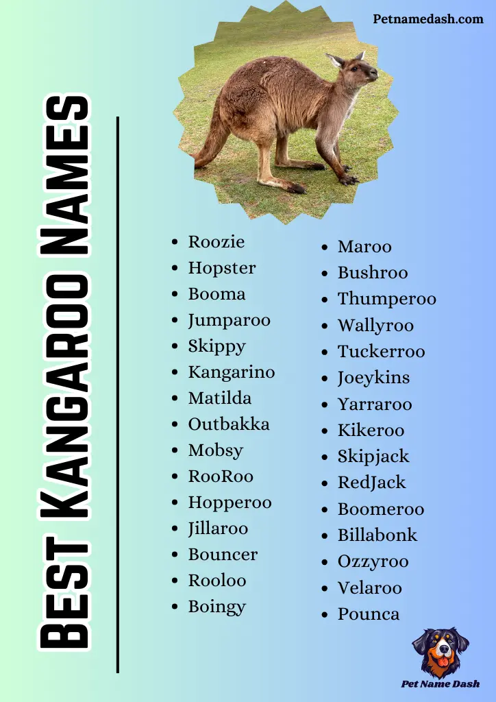 Best Kangaroo Names