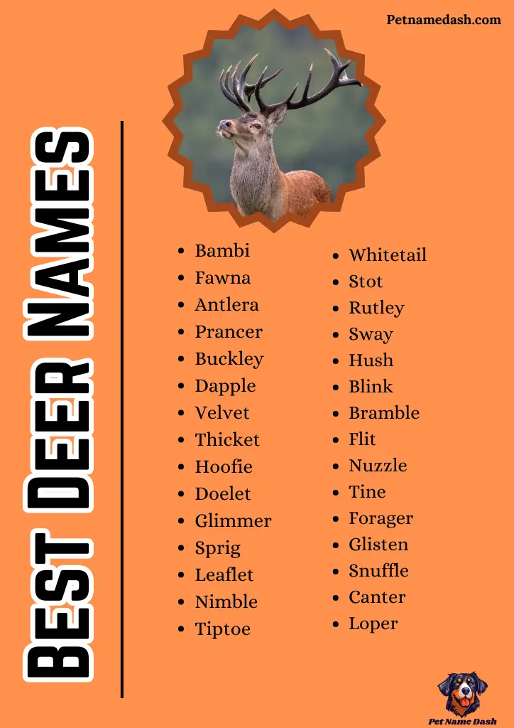 Best Deer Names