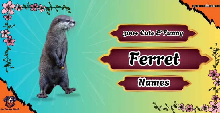 Cute__Funny_Ferret_Names_for_Male__Female_Generator_2025-1.webp