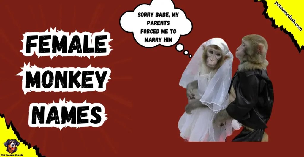 Female Monkey Names