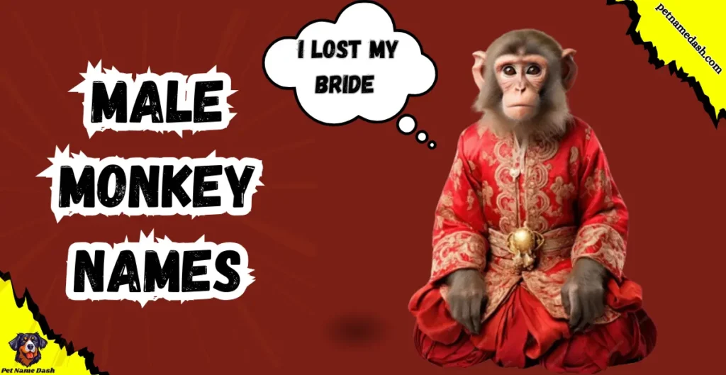 Male Monkey Names