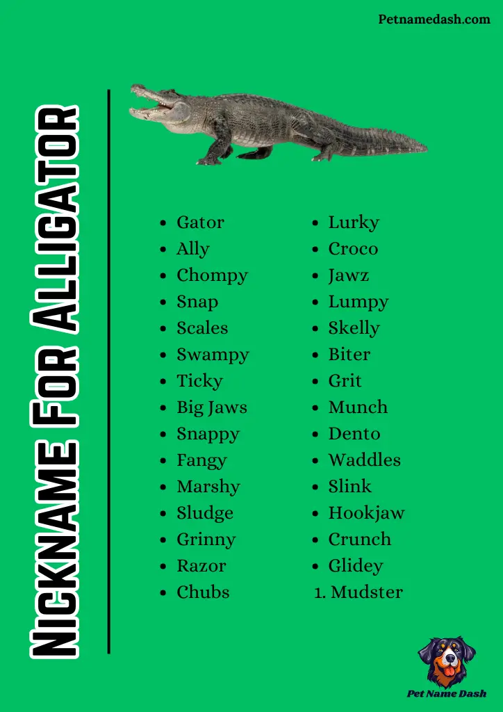 Nickname For Alligator