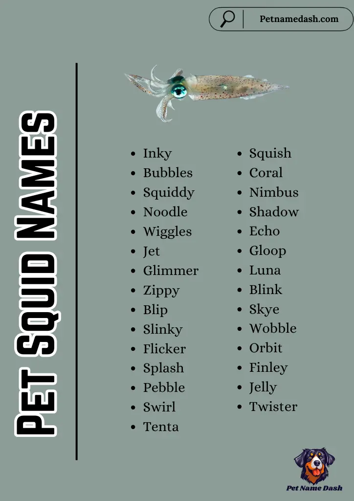 Pet Squid Names