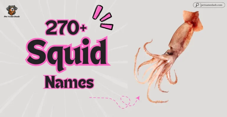 top 270+ Cute And funny Squid Names With Name Generator