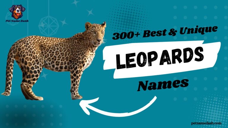 300-Best-Unique-Leopards-Names