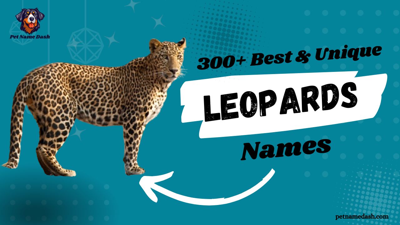 300-Best-Unique-Leopards-Names