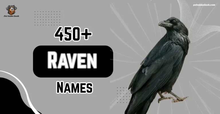 450+ Cute & Funny Raven Names With Meanings + AI Generator
