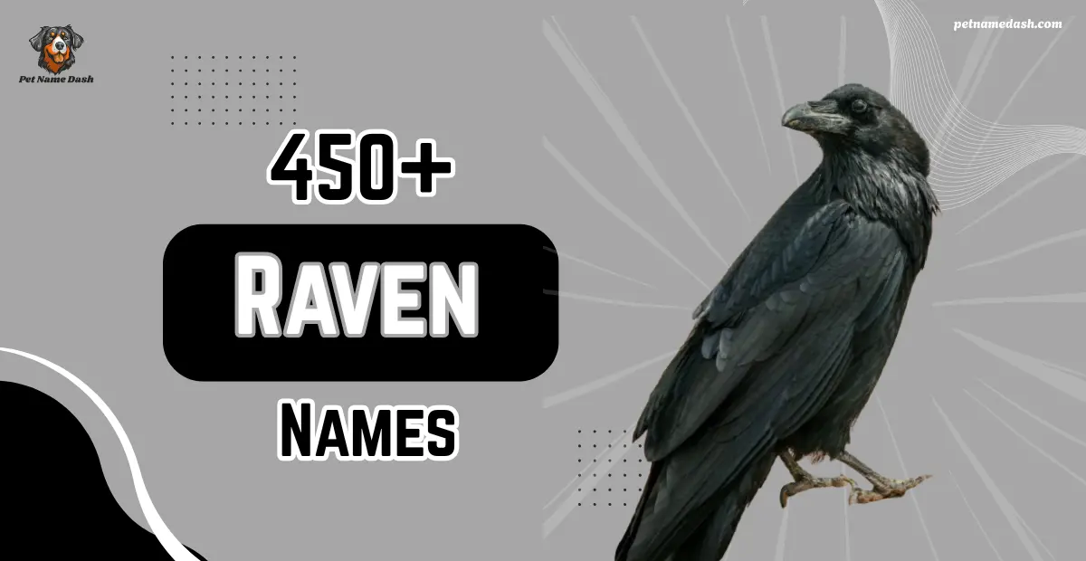 450+ Cute & Funny Raven Names With Meanings + AI Generator