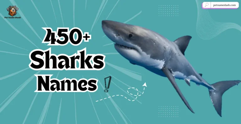450+ Unique Shark Names With AI Generator