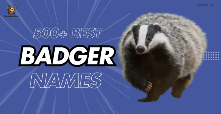 500+ Best & Catchy Badger Names: Cute, Funny, and Cool names