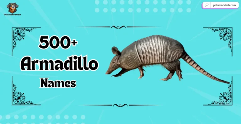 500+ Catchy Armadillo Names with Meanings