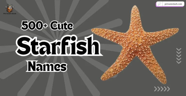 500+ Cute & Catchy Starfish Names Ideas + AI Generator