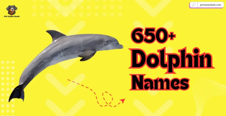 650+ Cute & Catchy Dolphin Names | Cute & Funny + AI Generator 