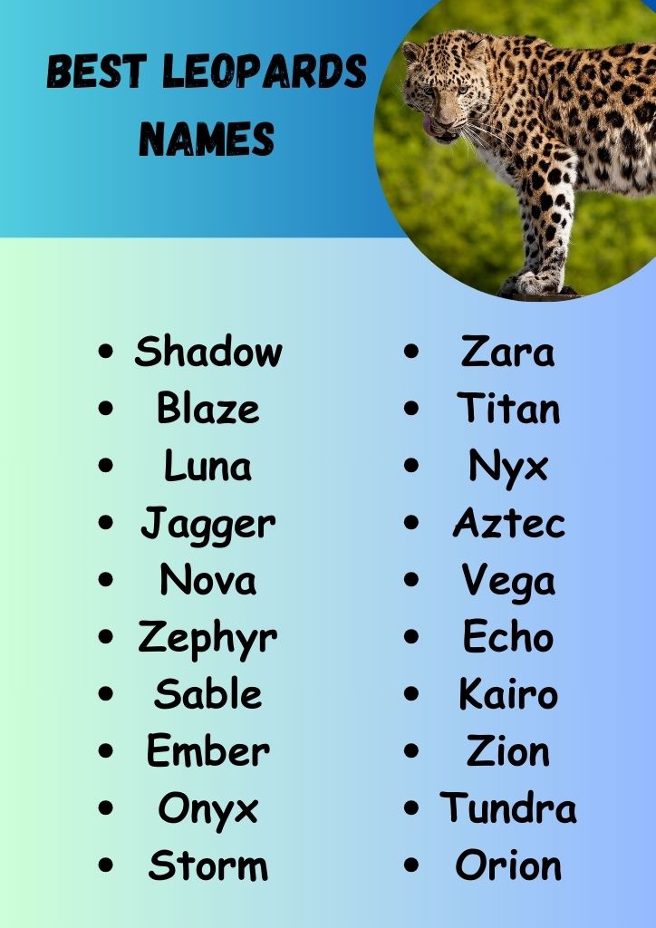 Best Leopard Names with Meaning