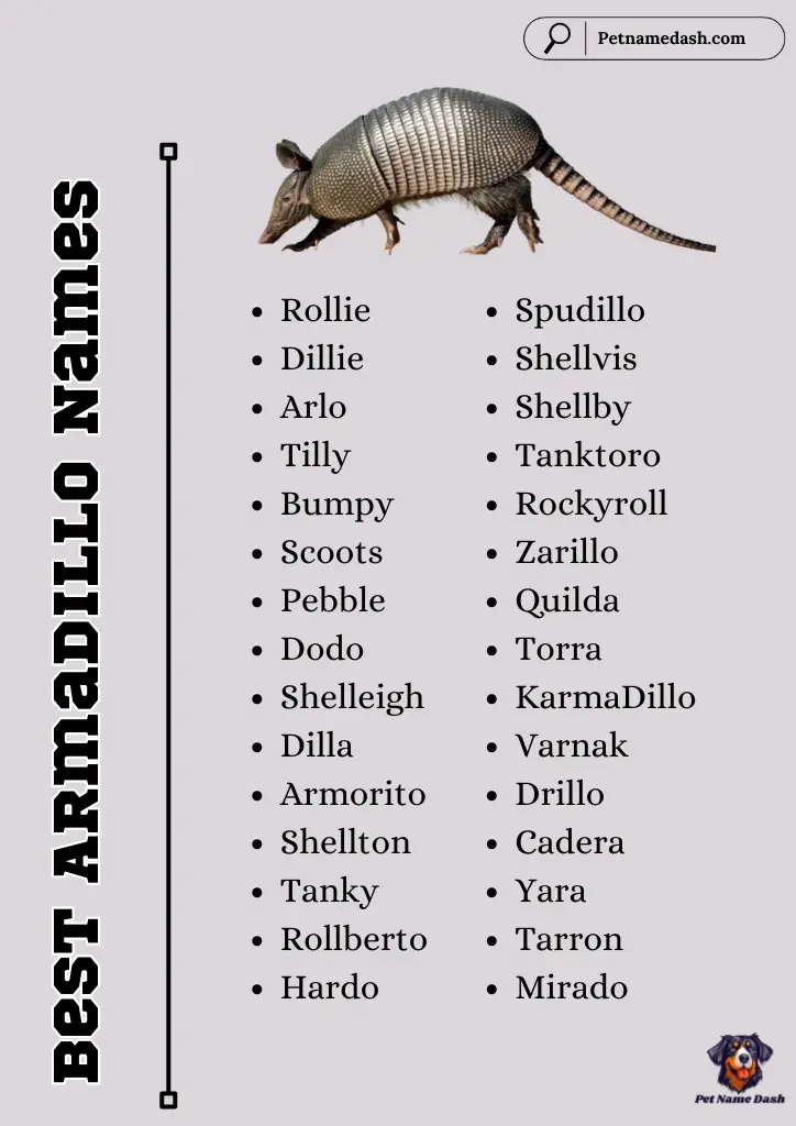Best Armadillo Names