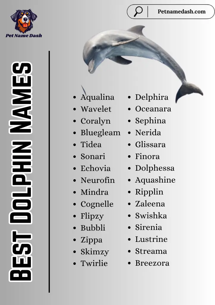 Best Dolphin Names
