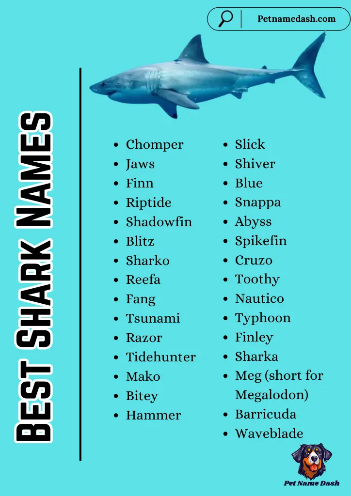 Best Shark Names 