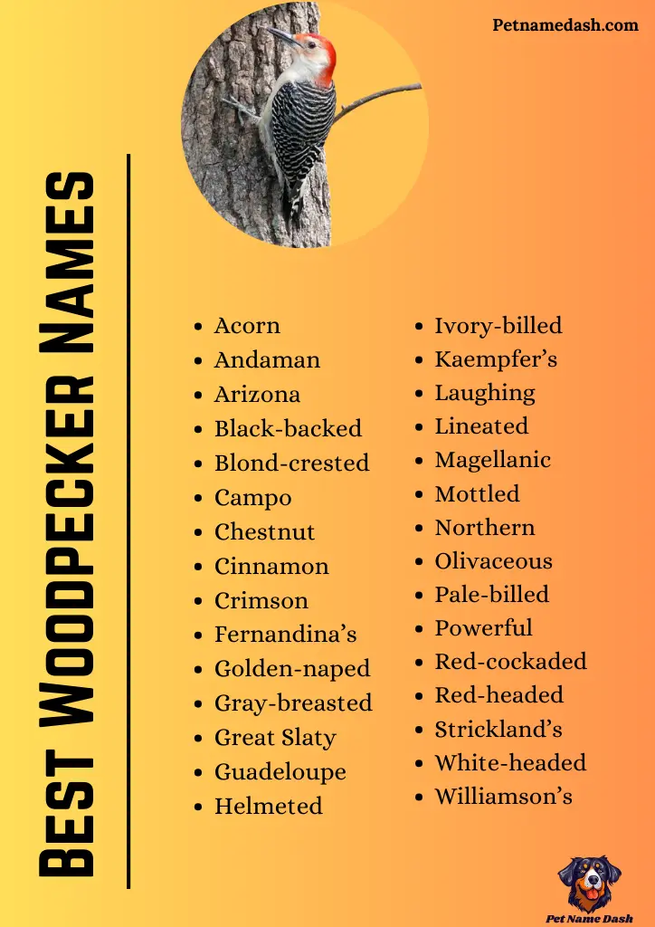 Best Woodpecker Names