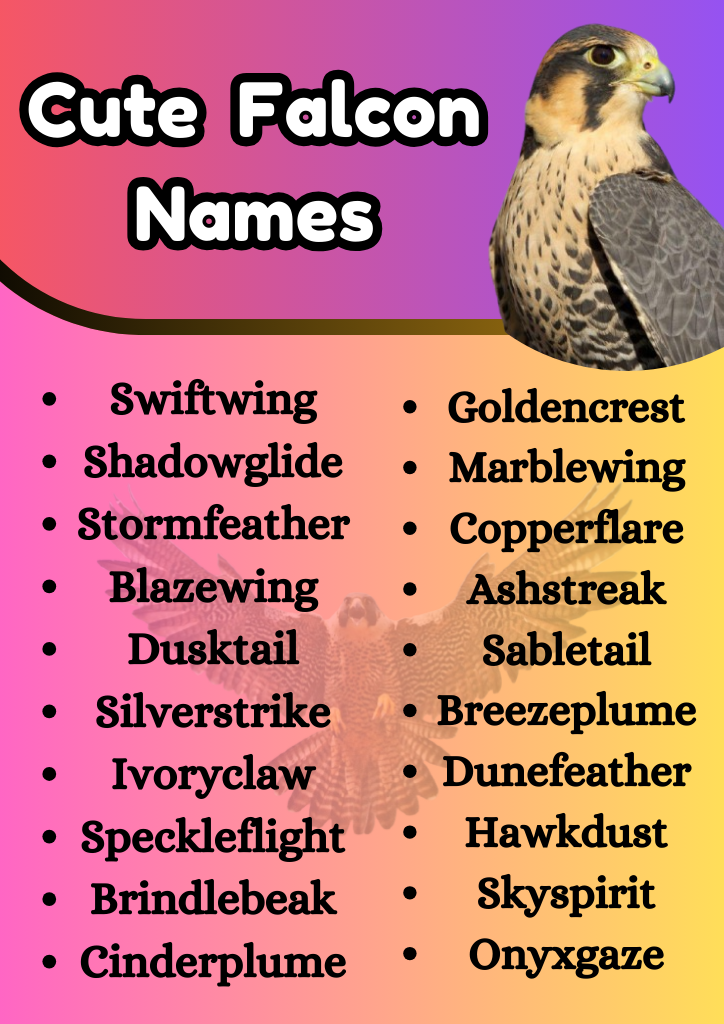 Cute Falcon Names
