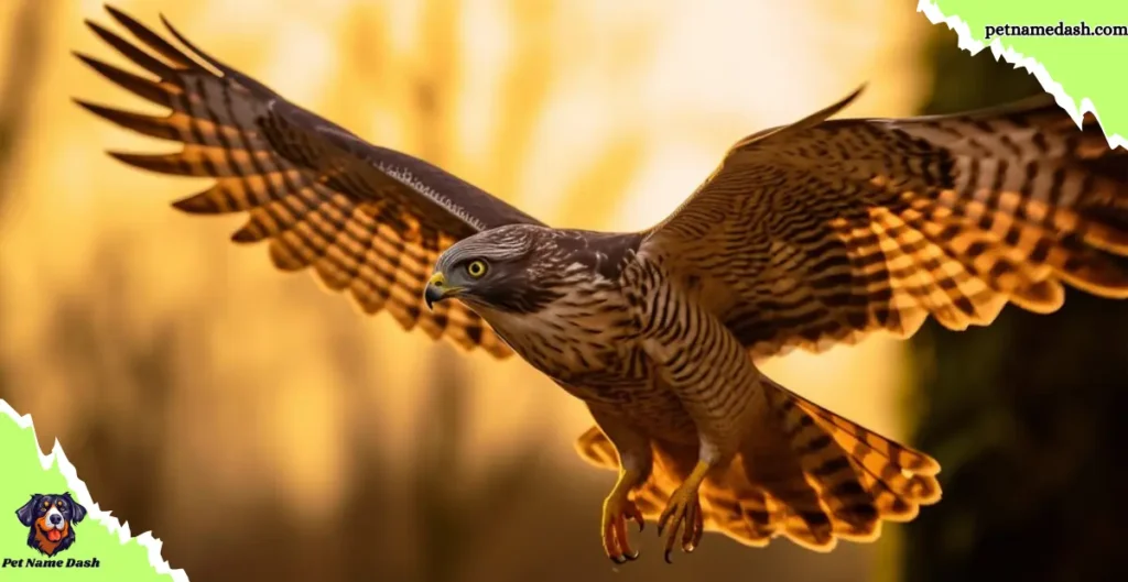 Famous Falcon Names