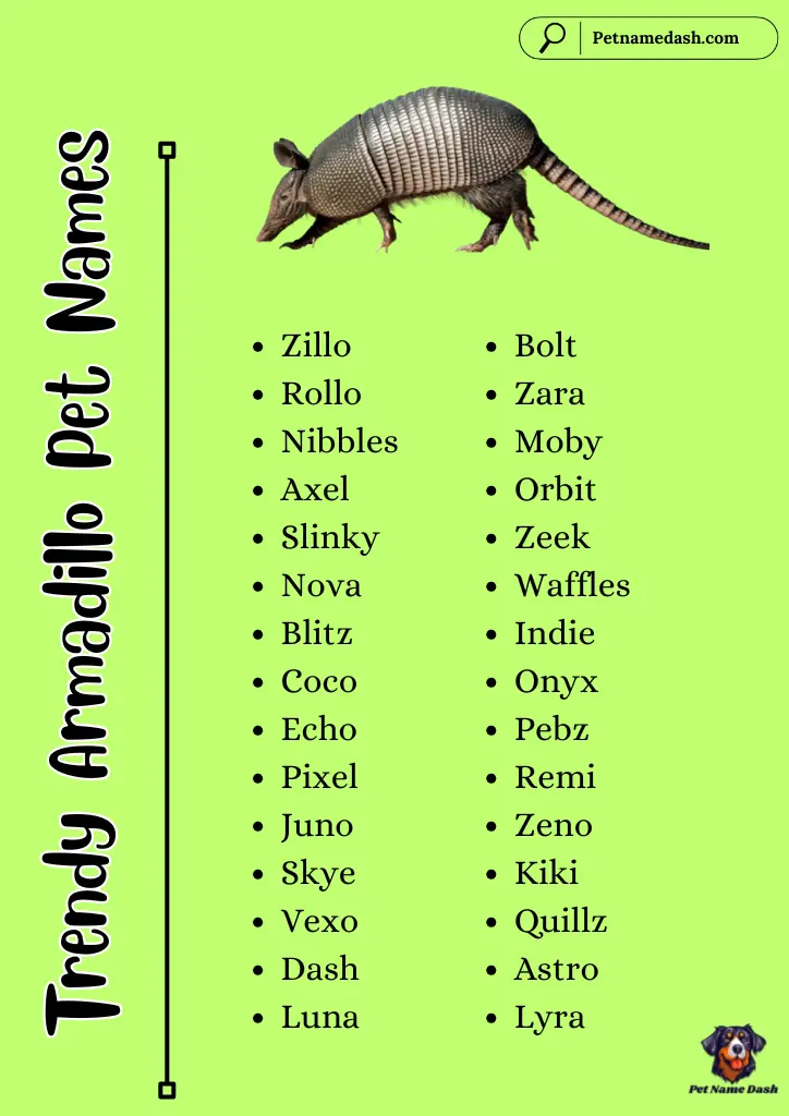 Trendy Armadillo Pet Names