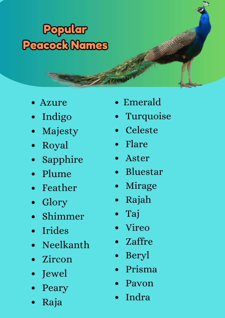 Popular Peacock Names