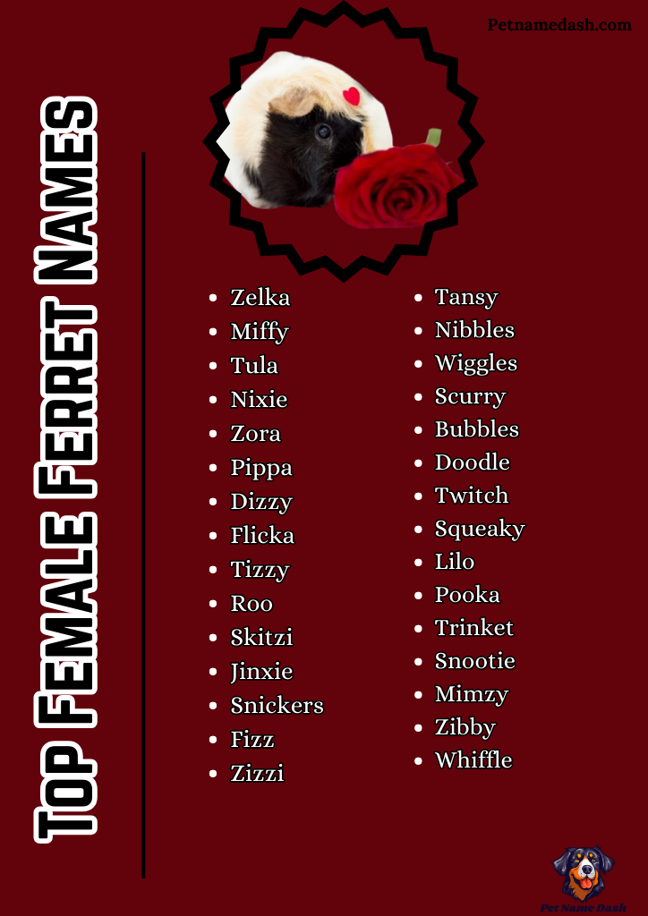 Top Female Ferret Name