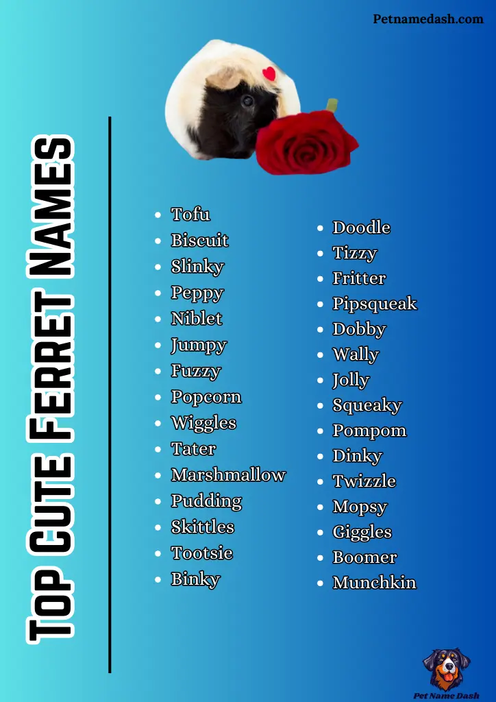 Top Cute Ferret Names